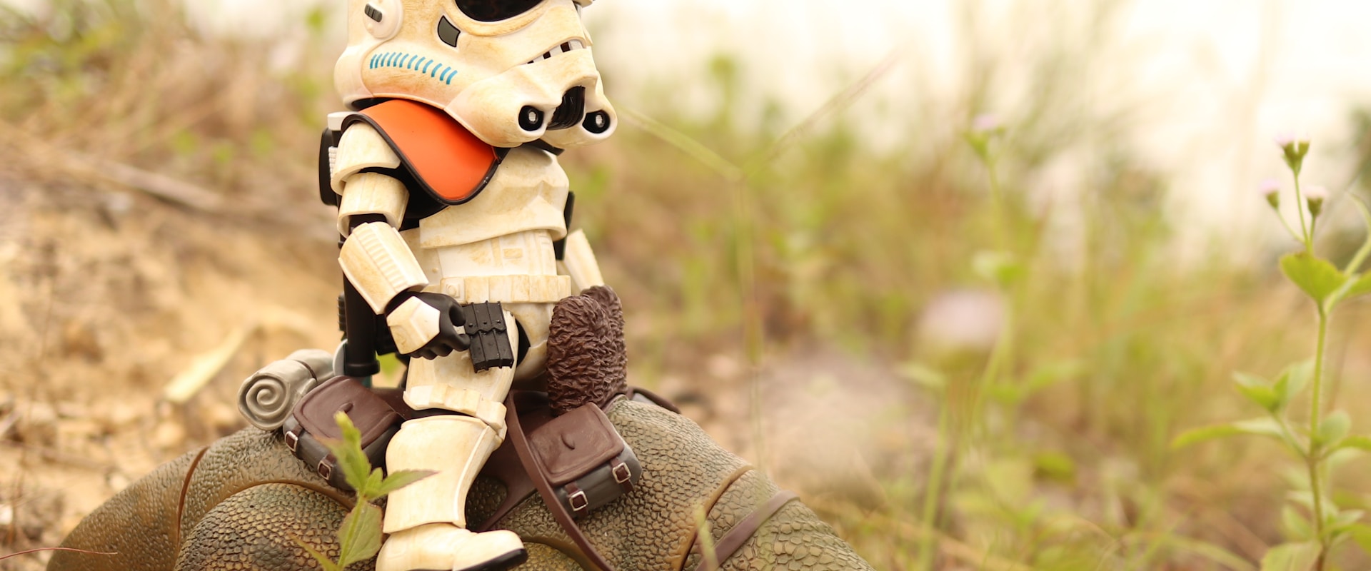 Strefa Kolekcjonera & Anime