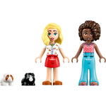LEGO FRIENDS ZESTAW KLOCKÓW PLAC ZABAW D - widok 3 LEGO opakowanie szczegoly collectible