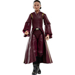 STAR WARS THE BLACK SERIES THE PHANTOM M - widok 2 opakowania Hasbro szczegoly kolekcja