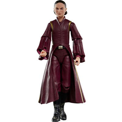 STAR WARS THE BLACK SERIES THE PHANTOM M - widok 2 opakowania Hasbro szczegoly kolekcja