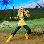 POWER RANGERS LIGHTNING COLLECTION BEAST - widok 3 opakowania Hasbro szczegoly kolekcja