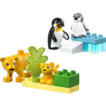 LEGO DUPLO ZESTAW KLOCKÓW RODZINY DZIKIC - widok 5 LEGO opakowanie szczegoly collectible