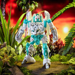 TRANSFORMERS BEAST WARS KENNER HASBRO  D - widok 3 opakowania Hasbro szczegoly kolekcja