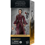STAR WARS THE BLACK SERIES THE PHANTOM M - widok 7 opakowania Hasbro szczegoly kolekcja